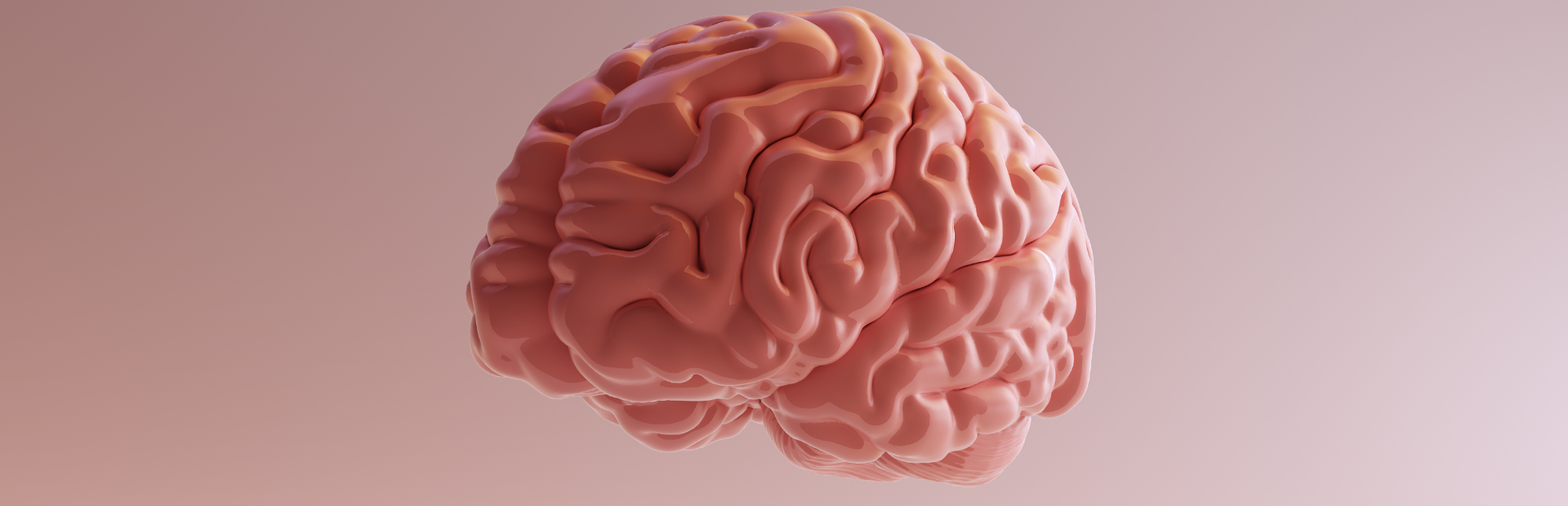 Imagem ilustrativa do cérebro humano